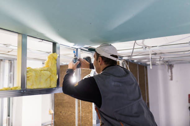 Best Cellulose Insulation in Boiling Springs, SC
